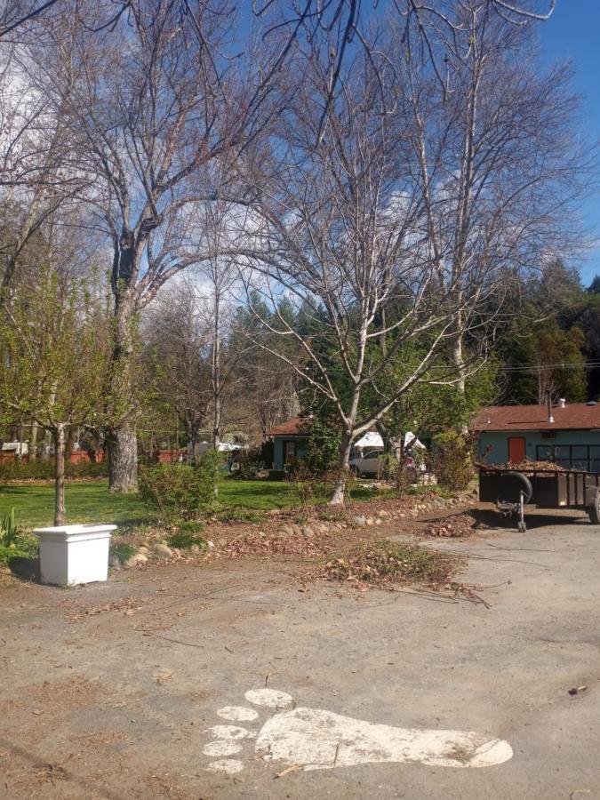 Bigfoot Rv & Cabins Park Happy Camp Экстерьер фото